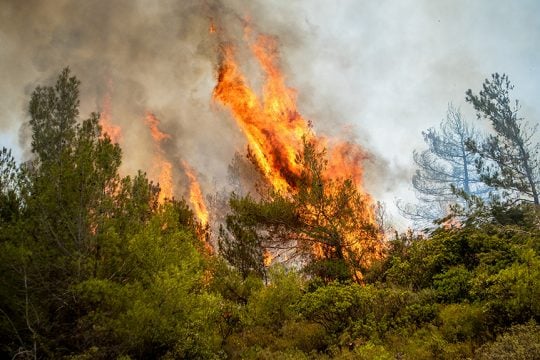 fotia rodos